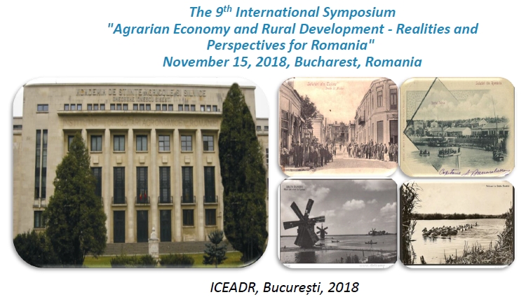 International Symposium 